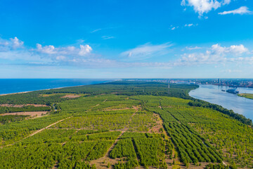 Panorama view of Curonian spit peninsula in Lithuania