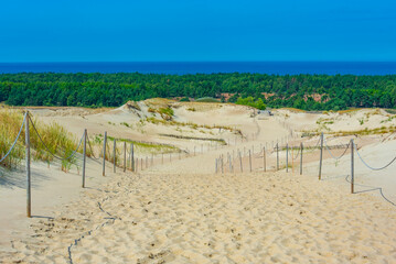 Nagliai dune at Curonian spit in Lithuania