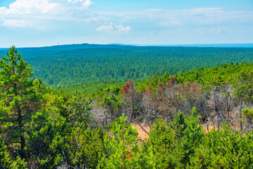 Panorama view of Curonian spit peninsula in Lithuania