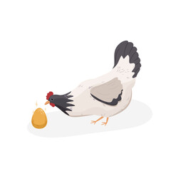 Czarno-biały kurczak i błyszczące jajko. Stojąca kura znosząca złote jajka.. Element do wykorzystania w projektach. Ilustracja wektorowa. - obrazy, fototapety, plakaty