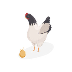 Czarno-biały kurczak i błyszczące jajko. Stojąca kura znosząca złote jajka.. Element do wykorzystania w projektach. Ilustracja wektorowa.