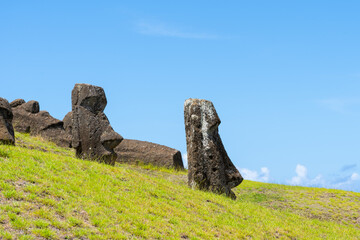 Moai heads on the slope of Rano Raraku on Easter Island (Rapa Nui),  Chile. Raraku is commonly...