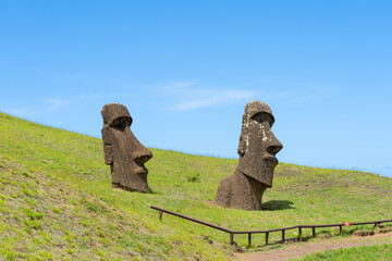 Moai heads on the slope of Rano Raraku on Easter Island (Rapa Nui),  Chile. Raraku is commonly known as the “Moai Factory”.