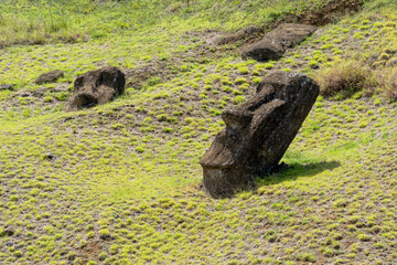 Moai heads on the slope of Rano Raraku on Easter Island (Rapa Nui),  Chile. Raraku is commonly...