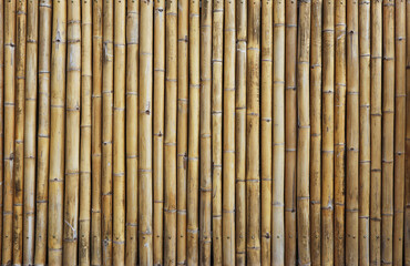Close-up of Dry bamboo wall background. Yellow tone bamboo plank fence texture for background