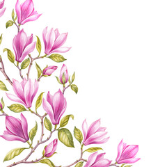 Fototapeta na wymiar Pink frame flower magnolia on white background. Watercolor floral illustration