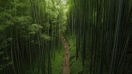 Running Wild: Exploring the Beauty of the Bamboo Forest Marathon, generative ai