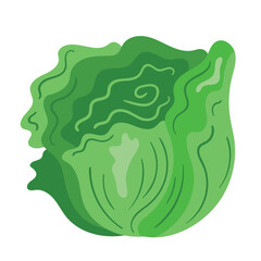 Obraz premium organic vegetable lettuce