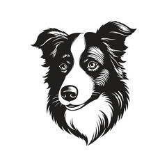 border collie dog, vector concept digital art, hand drawn illustration - obrazy, fototapety, plakaty