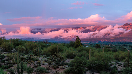 Clouds cling to the mountains at sunset like cotton candy. Santa Catalina mountains, Tucson, AZ