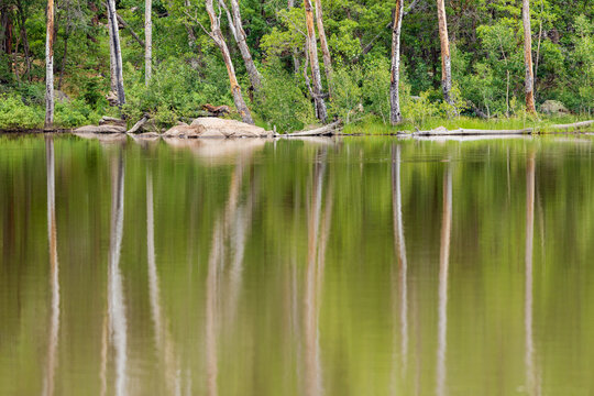 The trunks of dead trees create a ghostly reflection on the water of Buckskinner Lake in Williams, AZ.