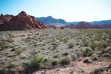 valley of fire state park 