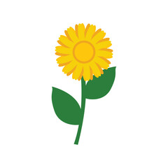Fototapeta premium flower logo icon