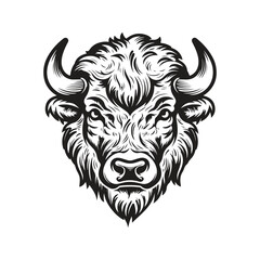 bison head, vector concept digital art, hand drawn illustration © Artcuboy