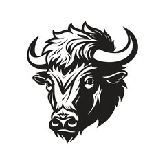 Fototapeta premium bison head, vector concept digital art, hand drawn illustration