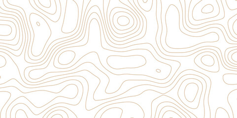 Panorama view gradient multicolor wave curve lines banner background design. Vector illustration. Line topography map contour background .Abstract Topographic map background with wave line.