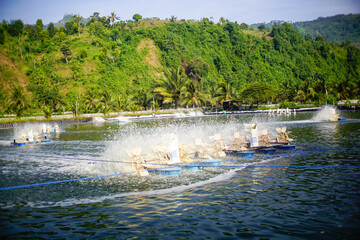 view of shrimp farm with rotating water wheel, mountains background, tambak udang. 
