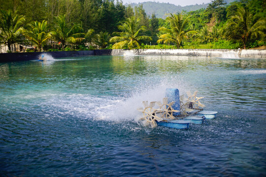 view of shrimp farm with rotating water wheel, mountains background, tambak udang. 