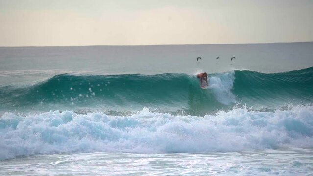 Birds flying behind a Surfer, Sunrise, Slow motion, Snapper Rocks Australia