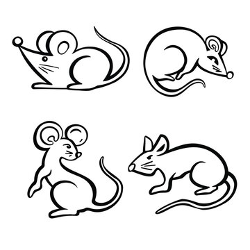 Symbol of the year, mouse, rat, hamster, rodent and line illustration vector