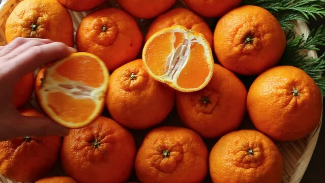 Sumo Mandarin