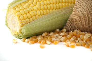 Corn kernels and fresh maize or corn on the cob