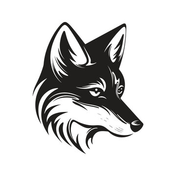 fox, vector concept digital art, hand drawn illustration