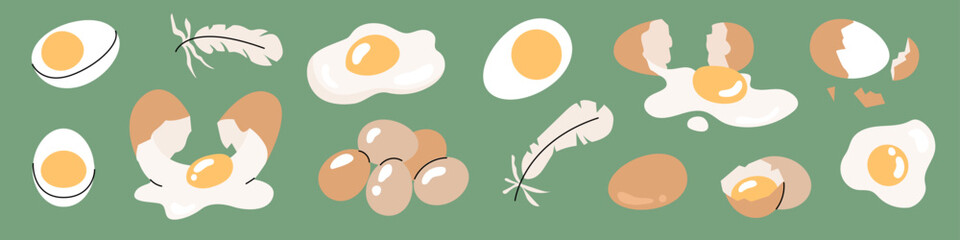 A set of images of eggs in different packages and states. Boiled, broken, fried, scrambled eggs, quail egg. Poultry Farm food, agricultural production. Vector objects isolated from the background.