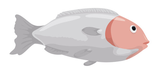 Delicious gray fish with spiny fins in cartoon style, Vector illustration