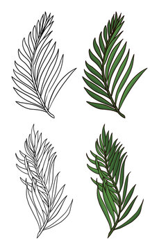 Set with palm branches in outlines and cartoon style, Vector illustration