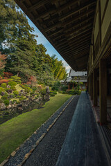 日本庭園と続く廊下