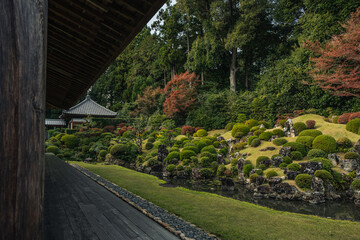 日本庭園と石