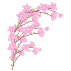手描き風桜の花の咲いた枝のベクターイラスト