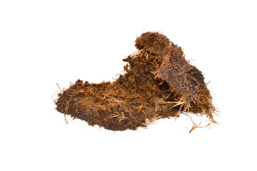 dry moss isolated on white background