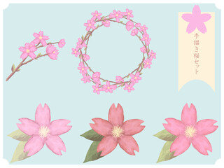 手描き風和の桜イラストセット