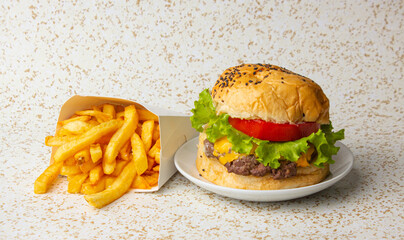 Photograph of Hamburger with French Fries, Front View