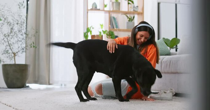 Headphones, dog playing and woman in a living room feeling puppy love from pet care in a home. House, animal and young female listening to music with happiness and bonding from labrador attention