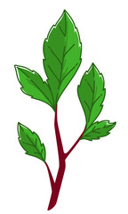 Branch with leaves, ecology and gardening vector