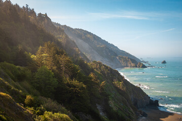 Fototapeta na wymiar The Pacific Coast at Redwood National Park