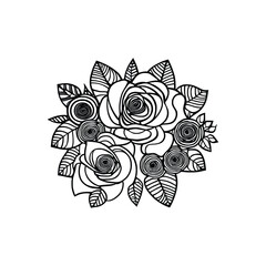Hand drawn Roses bouquet. Line art for adult coloring book style. Vector illustration for coloring page.  outline Vector