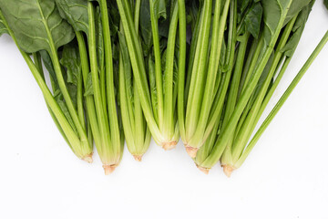 Fresh spinach on white background