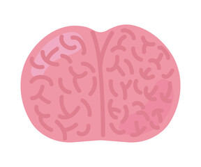 brain icon isolated