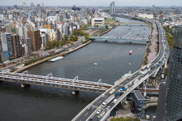 桜満開の隅田川を渡る東武線