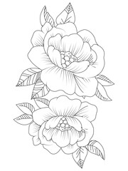 Vector coloring book for adults. Summer wild meadow flowers. Vector isolated elements