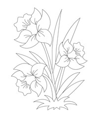 Vector coloring book for adults. Summer wild meadow flowers. Vector isolated elements