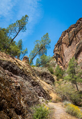 Cliff Face at Pinnacles National Park