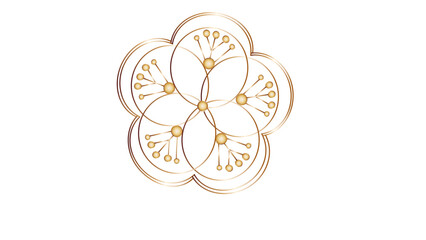 abstract floral mandala design