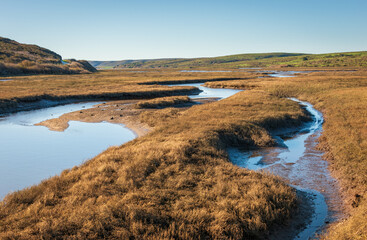 Marsh Lands at Point Reyes National Seashore
