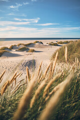 Coastal Landscape in northern Denmark. High quality photo - 586447962