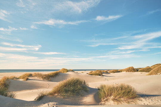 Dunes at the beach at danish coast. High quality photo
